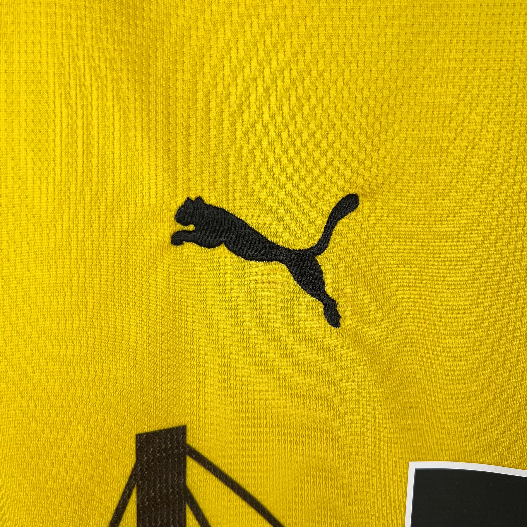BORUSSIA DORTMUND 23/24