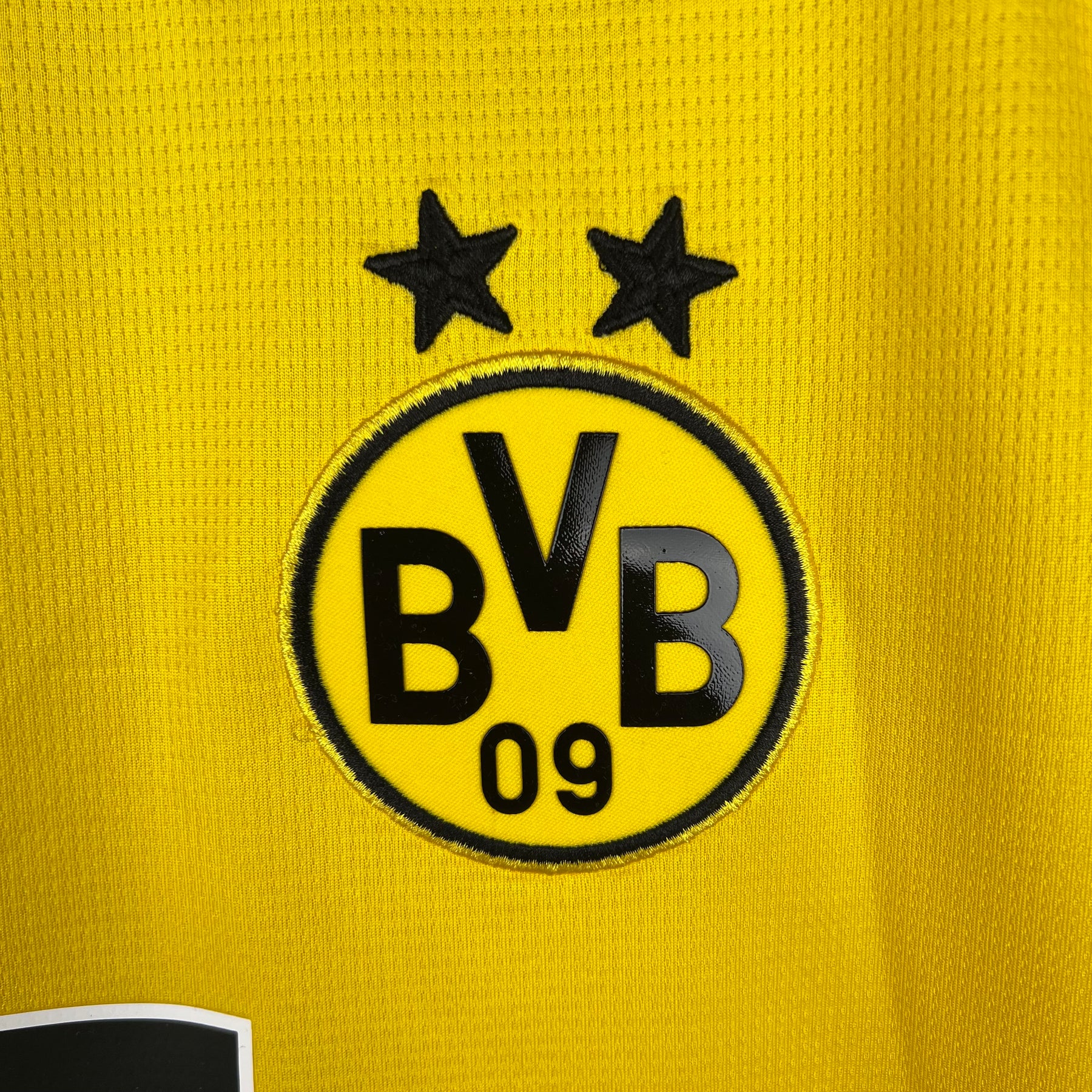 BORUSSIA DORTMUND 23/24