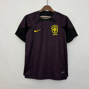 BRASIL 2022
